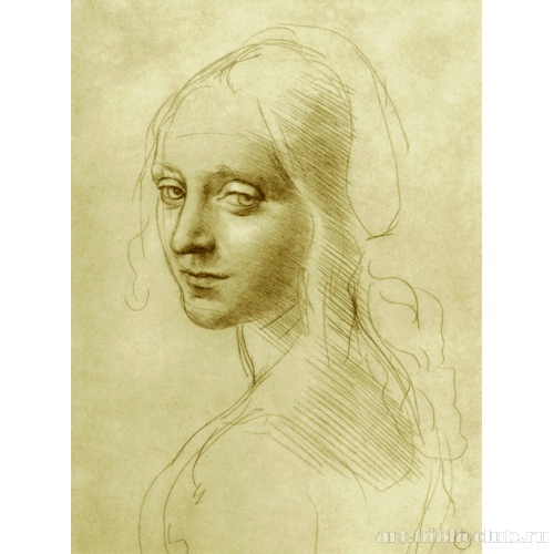 Голова девушки