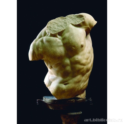 Торс кентавра (Торс Гадди)