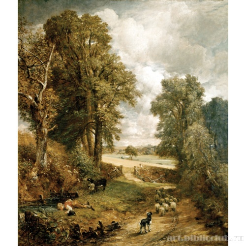 Кукурузное поле