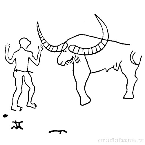 Человек и буйвол