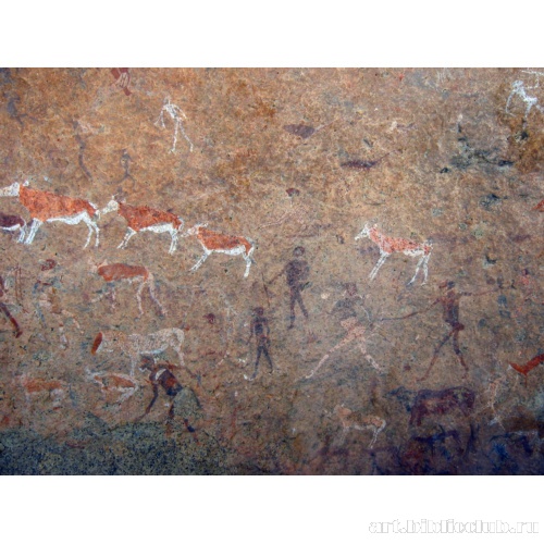 Люди и животные