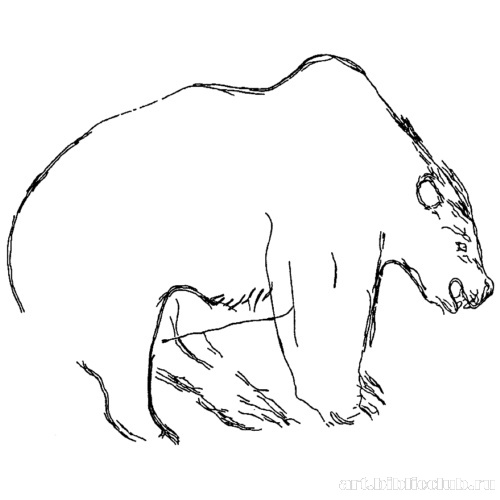 Медведь