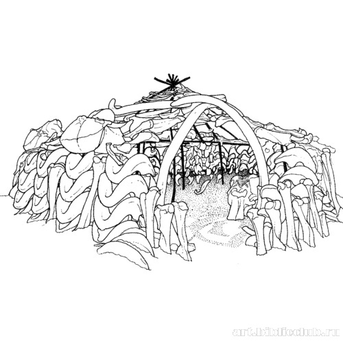 Жилище из костей мамонта