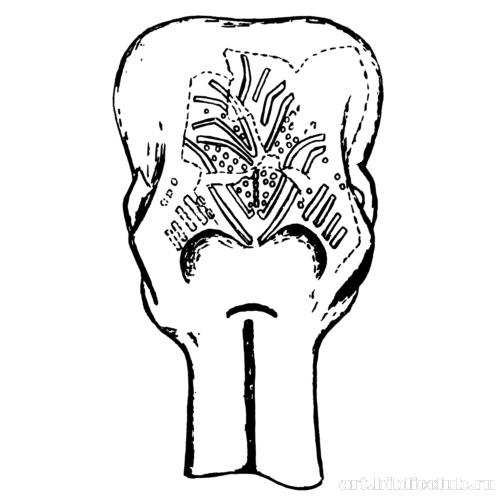 Череп мамонта, украшенный орнаментом, выполненный красной краской