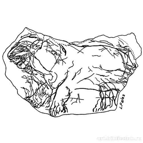 Кошачий хищник