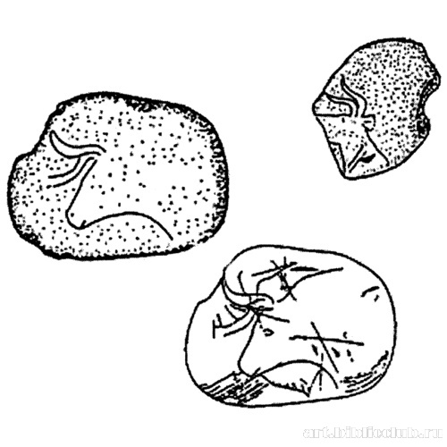 Быки