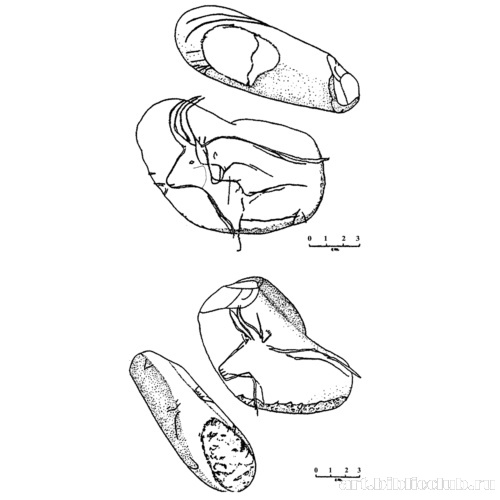 Быки