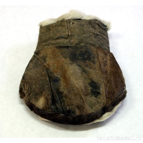 Падко. Вид сзади