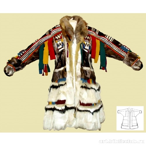 Паница (пена паны). Вид спереди