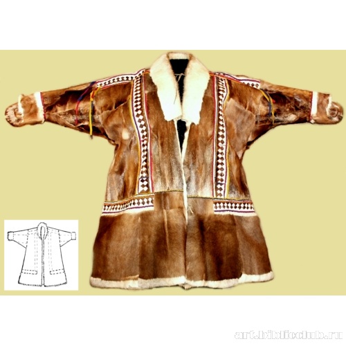 Паница (пена паны). Вид спереди