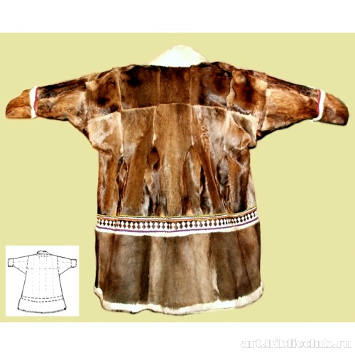 Паница (пена паны). Вид сзади