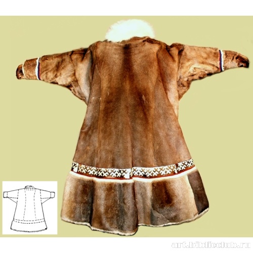 Паница (не паны). Вид сзади