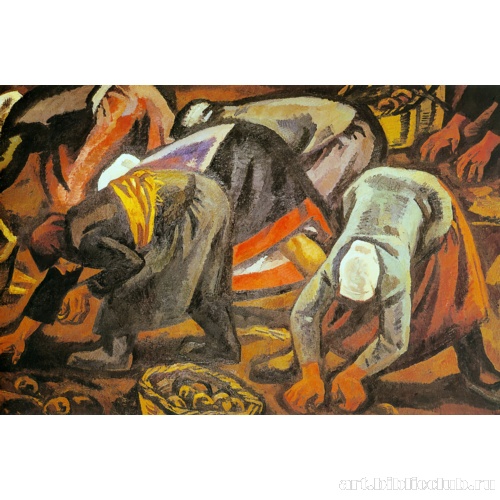 Уборка картофеля