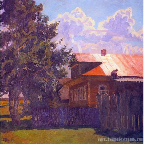 Покраска крыши