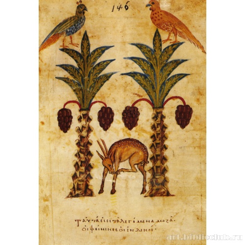 Олень и финиковые пальмы