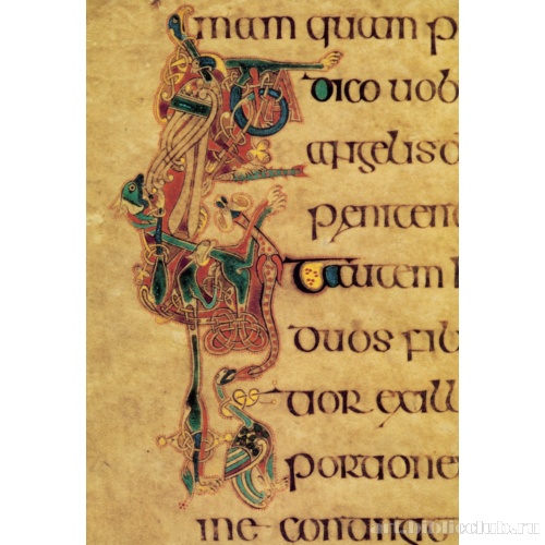 Птицы из Евангелия от Луки