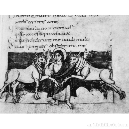 Псалом 21. Христос с быками