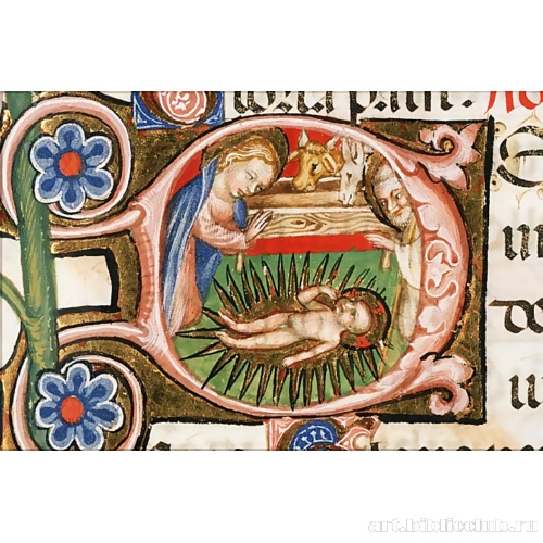 Фрагмент. Рождество Христово