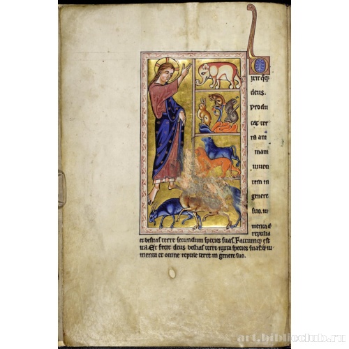 Абердинский бестиарий. Создание животных