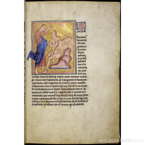 Абердинский бестиарий. Творение человека