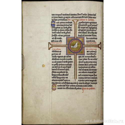 Абердинский бестиарий. Страница с продолжением текста о горлицах. Глава о пальмах