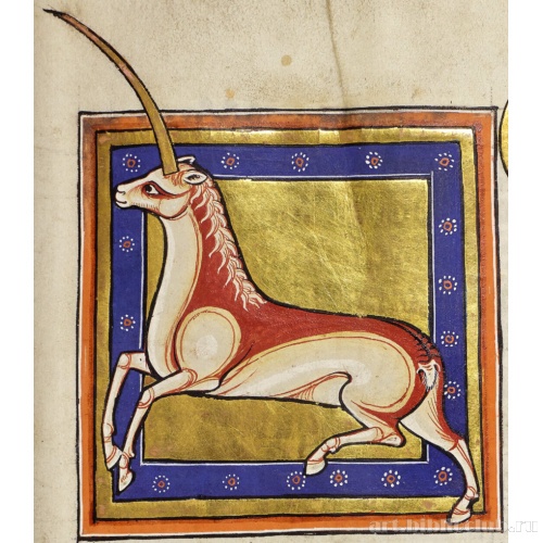 Единорог. Миниатюра из Абердинского бестиария