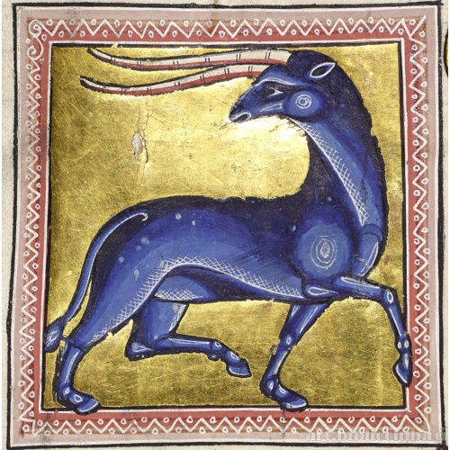 Йель. Миниатюра из Абердинского бестиария