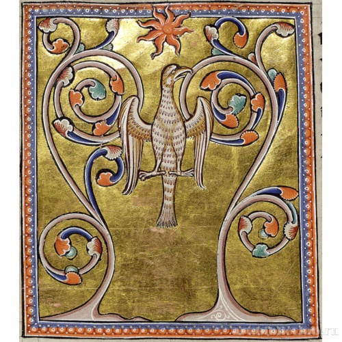 Феникс. Миниатюра из Абердинского бестиария