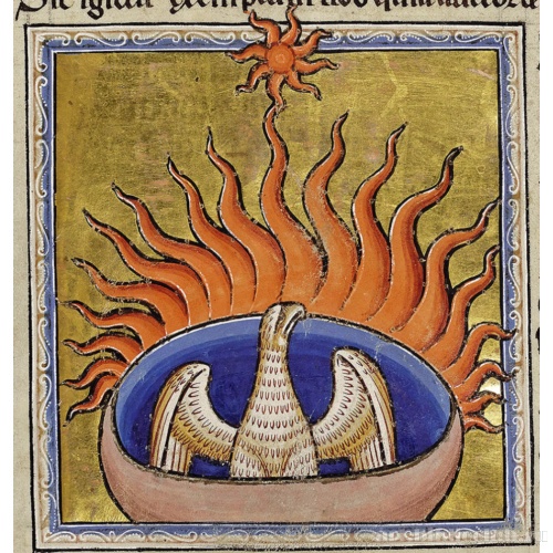 Феникс. Миниатюра из Абердинского бестиария