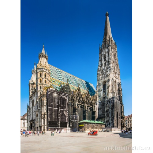 Собор святого Стефана. Южный фасад