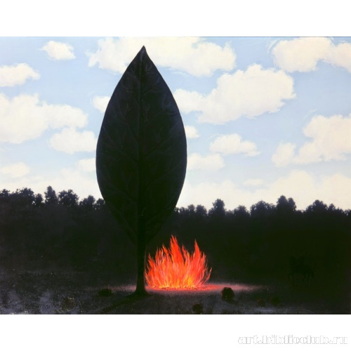 Открытое окно