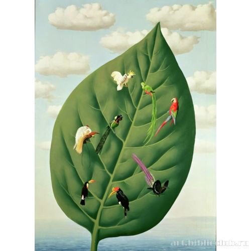 Третье измерение