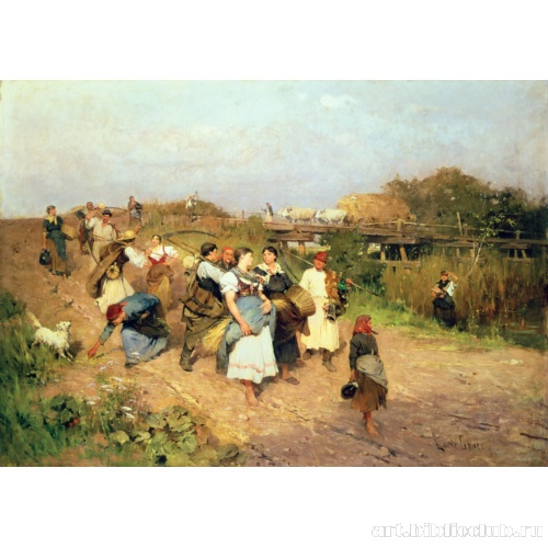 Возвращение после сбора урожая