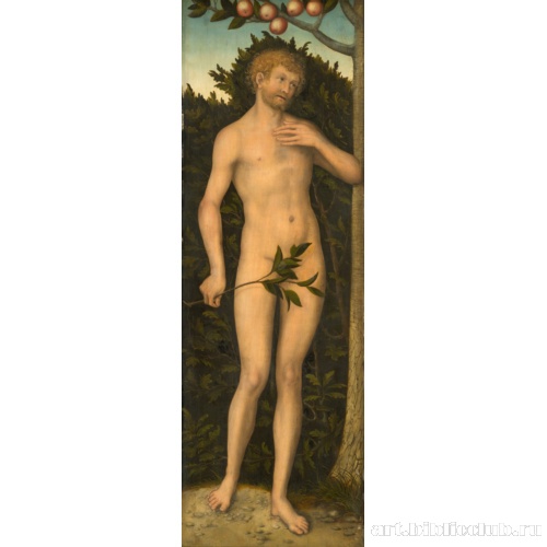 Адам