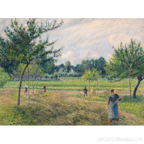 Сенокос