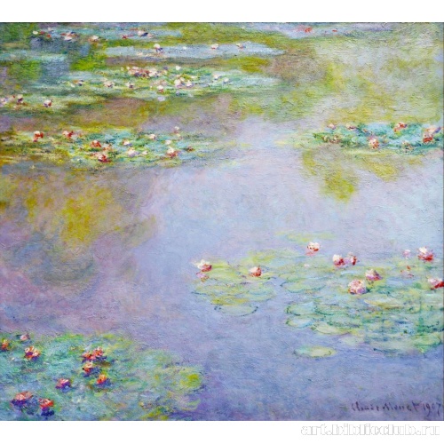 Водяные лилии