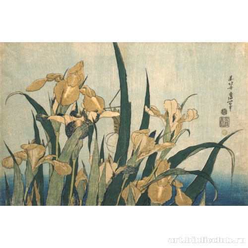 Ирисы и кузнечик