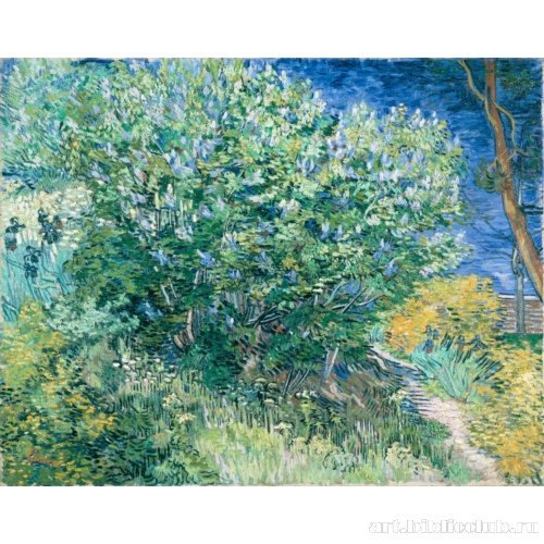 Кустарник близ Арля