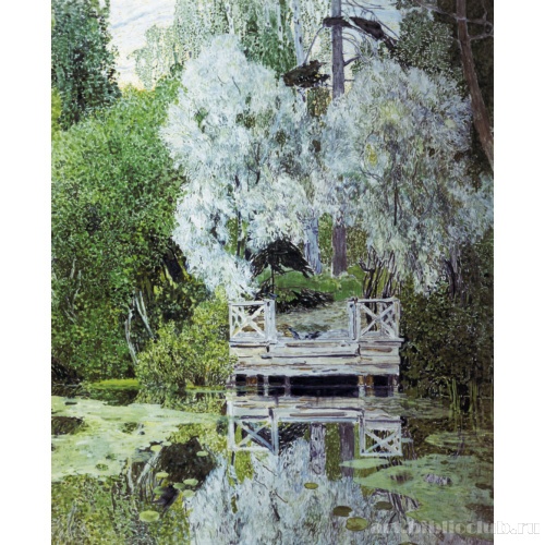 Серебристые вётлы