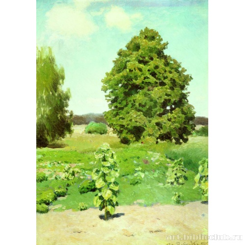 Летний день