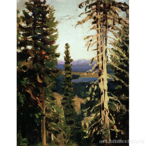 Лес на горе Благодать. Средний Урал