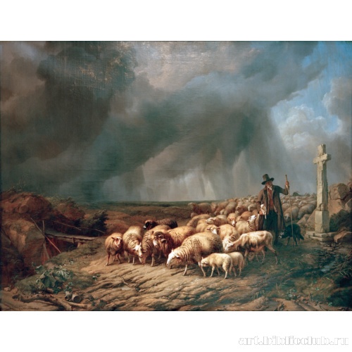 Стадо, напуганное бурей