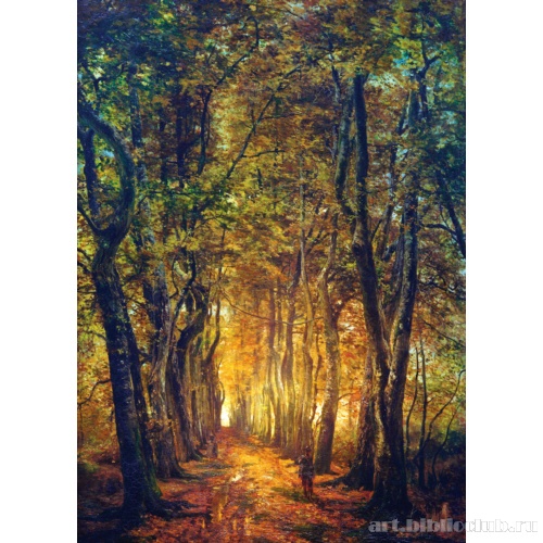 Старая грабовая аллея. Тервюрен