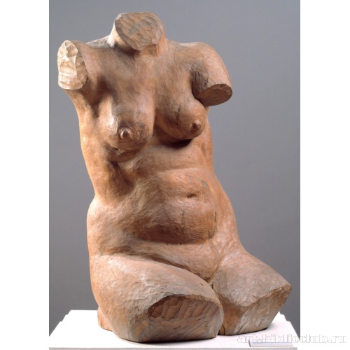 Женский торс