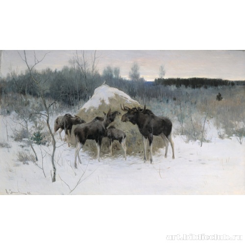 Лоси