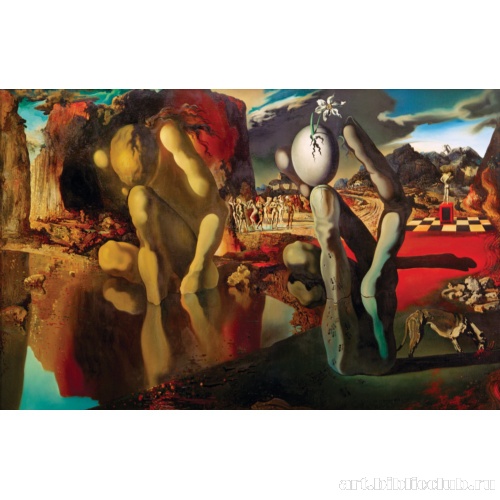 Метаморфозы Нарцисса