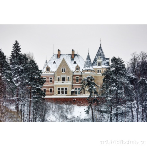 Вид на парковый фасад усадебного дома из-за пруда