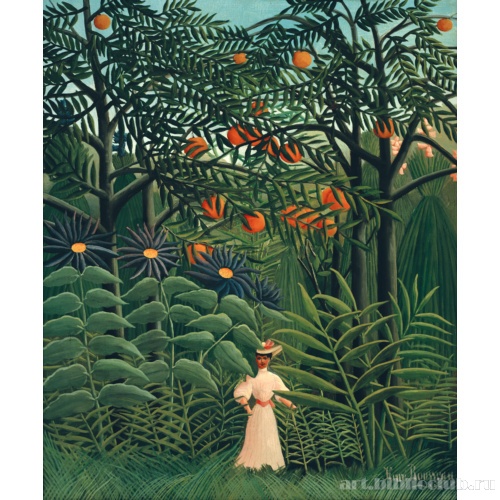 Женщина в тропическом лесу