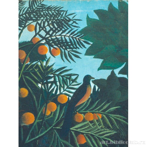 Сон. Фрагмент