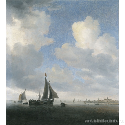 Вид Алкмара